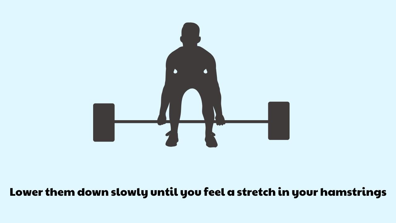 Exercise 2 of Dumbbell Romanian Deadlift